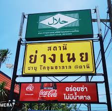 images (13)
