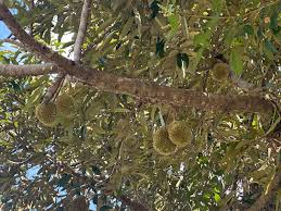 images (20)
